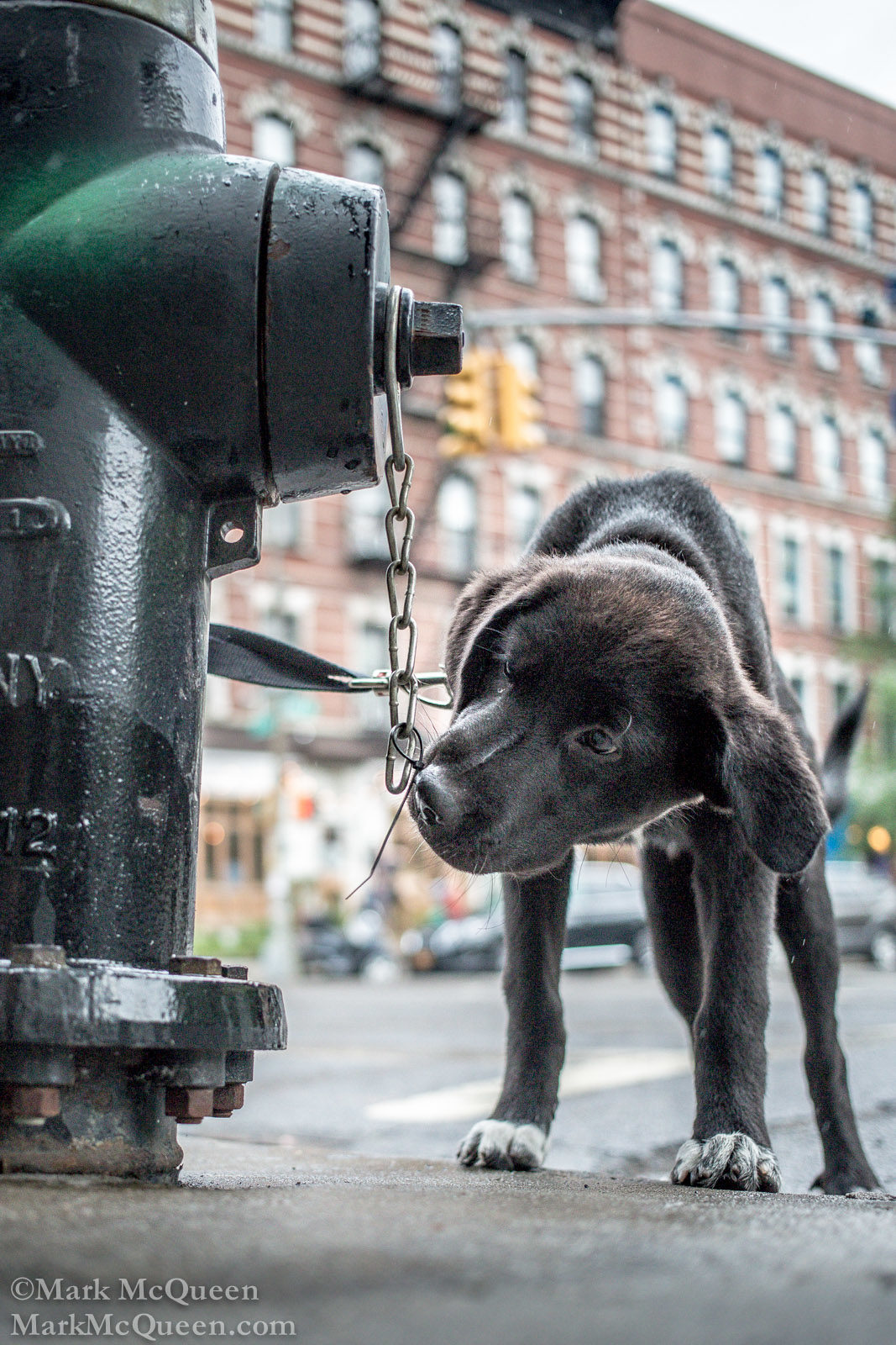 New York City Street Photography 2013