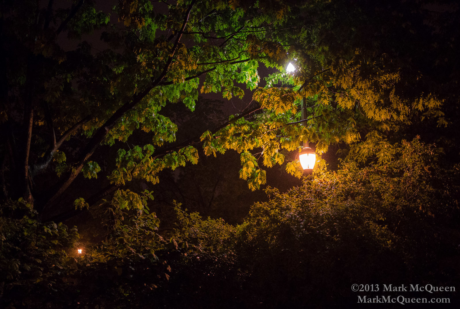 Tomkins Square Park: New York City Street Photography, nighttime in NYC